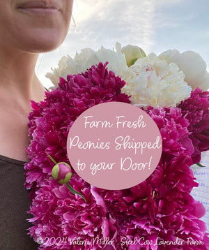 Fresh Peony Flowers Shipped to You!