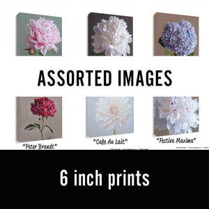 Clearance Sale 6" Canvas Prints