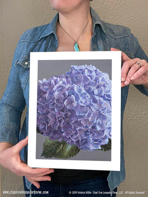 Blue Hydrangea Art Print