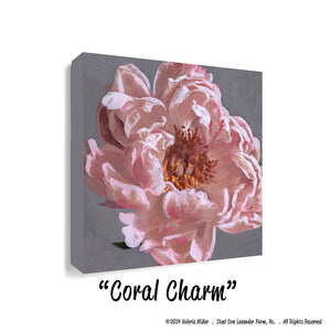 Coral Charm Peony (Canvas and Paper Print)