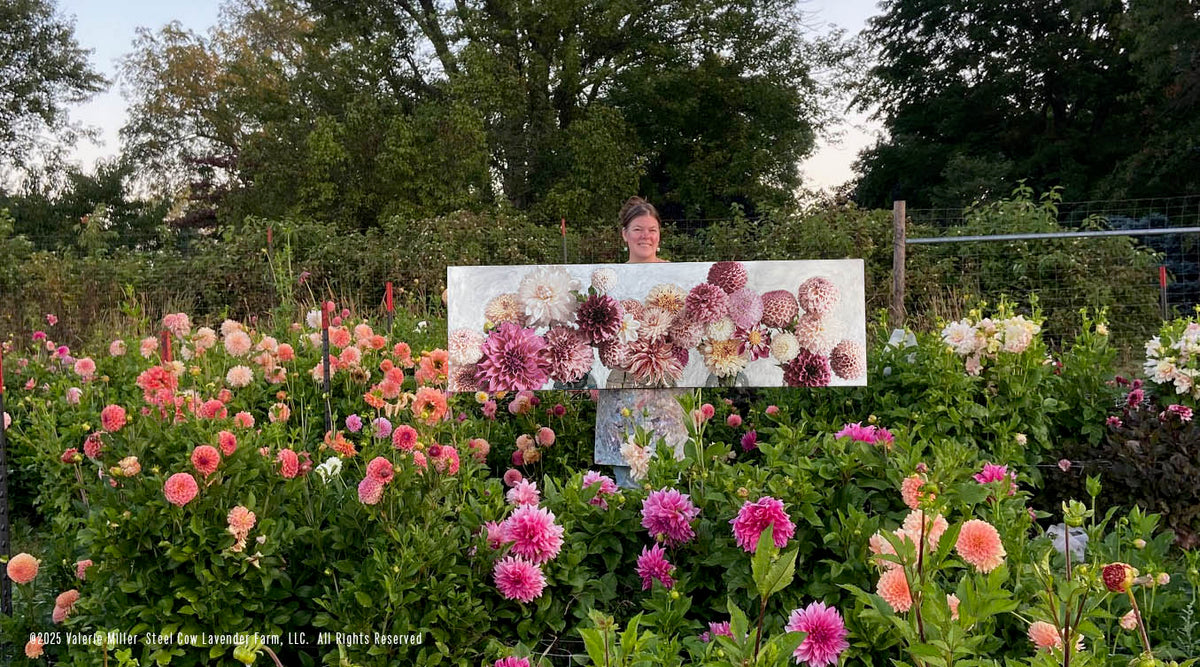 Dahlia Bliss Art Print