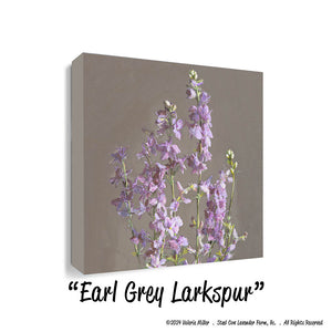 Earl Grey Larkspur (Canvas and Paper Print)
