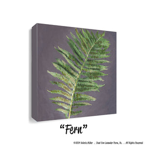 Fern (Canvas and Paper Print)