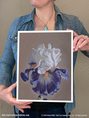 Iris 2 (Canvas and Paper Print)