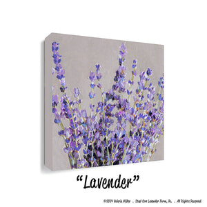 Lavender (Canvas and Paper Print)