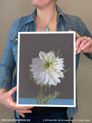 Nigella (Canvas and Paper Print)
