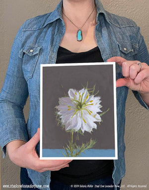 Nigella (Canvas and Paper Print)