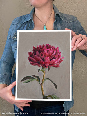 Peter Brand Peony (Canvas and Paper Print)