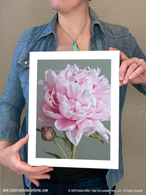 Pink Peony Canvas/Paper Print
