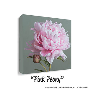 Pink Peony Canvas Print