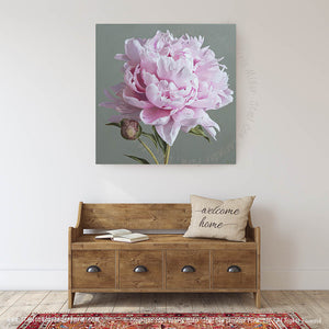 Pink Peony Canvas Print