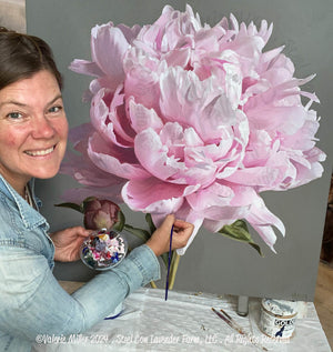 Pink Peony Canvas Print