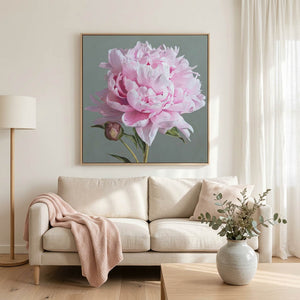Pink Peony Canvas Print