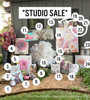 Studio Sale Canvas Prints