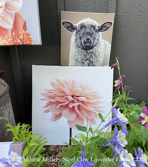 Studio Sale Canvas Prints