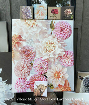 Studio Sale Canvas Prints