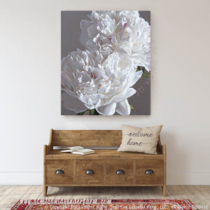 Two Festiva Maximas Art Print