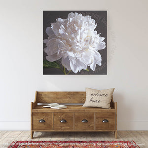 White Peony Canvas Print