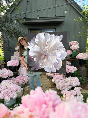 Grandma's Peony Canvas Print