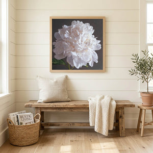 White Peony Canvas Print
