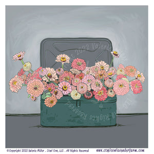 Zinnias in a Vintage Box