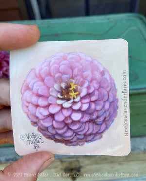 Oklahoma Salmon Zinnia Sticker