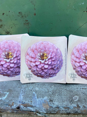 Oklahoma Salmon Zinnia Sticker