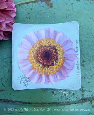 Cupcake Zinnia Sticker