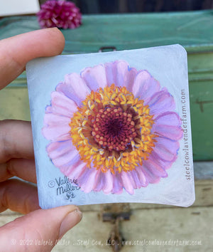 Cupcake Zinnia Sticker