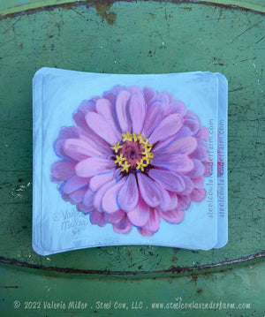 Light Pink Zinnia