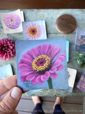 Dark Pink Zinnia Sticker