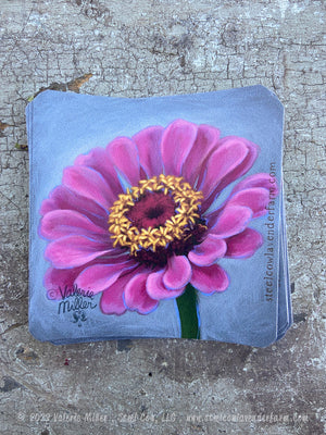 Dark Pink Zinnia Sticker