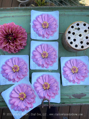 Light Pink Zinnia