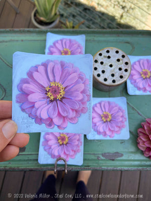Light Pink Zinnia