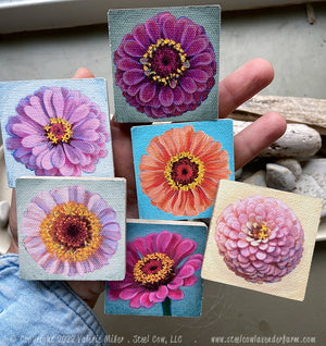Pink Zinnia Magnet