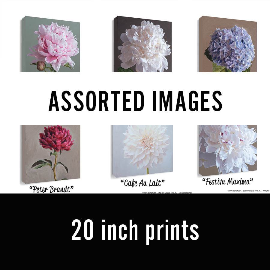 Clearance Sale 20" Canvas Prints