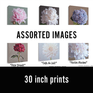 Clearance Sale 30" Canvas Prints