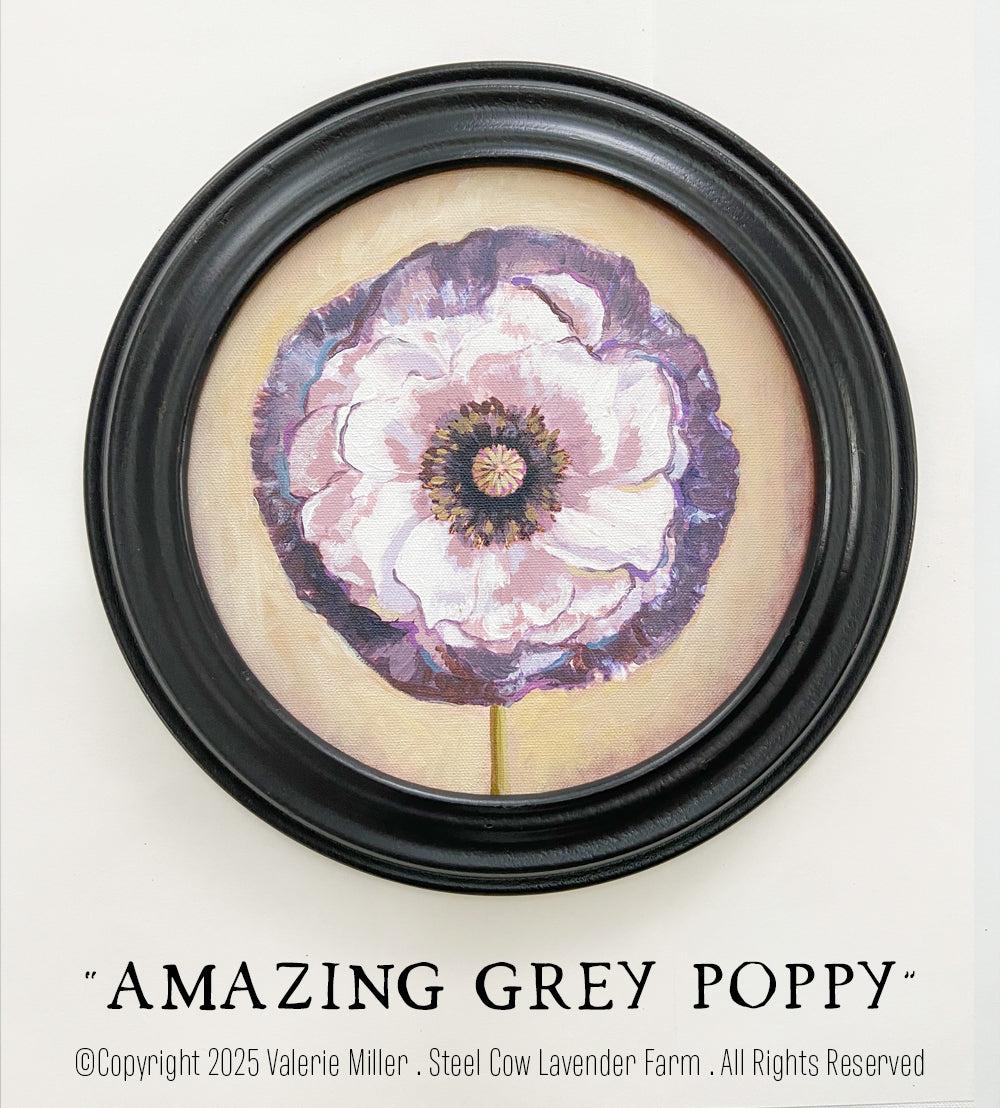 AMAZING GREY POPPY PAINTING