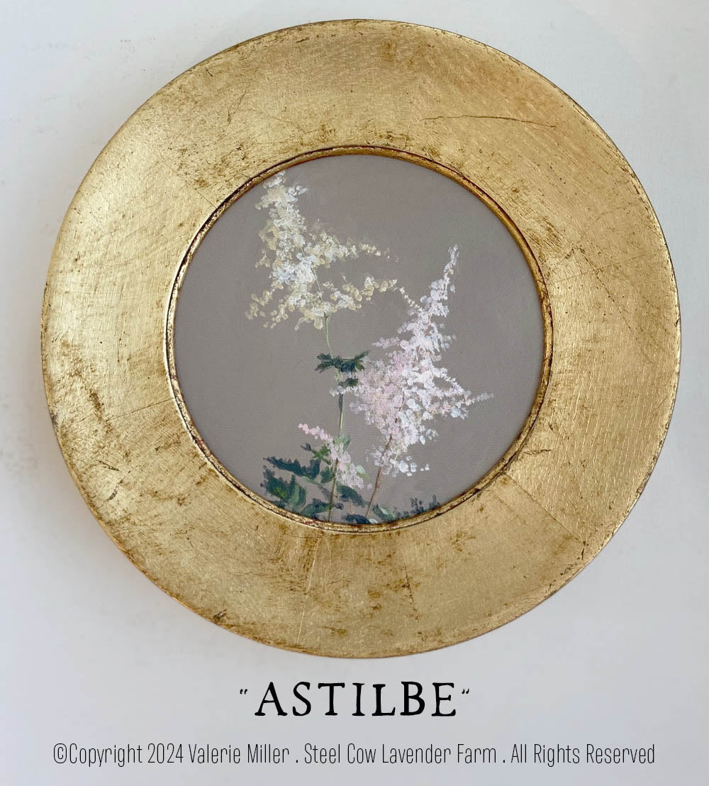 Astilbe Original Painting