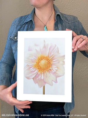 Appleblossom Dahlia Art Print