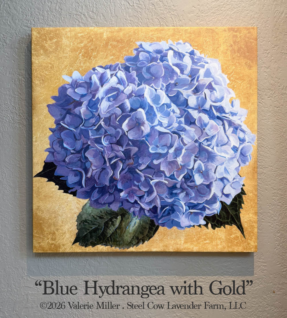 Blue Hydrangea with Gold