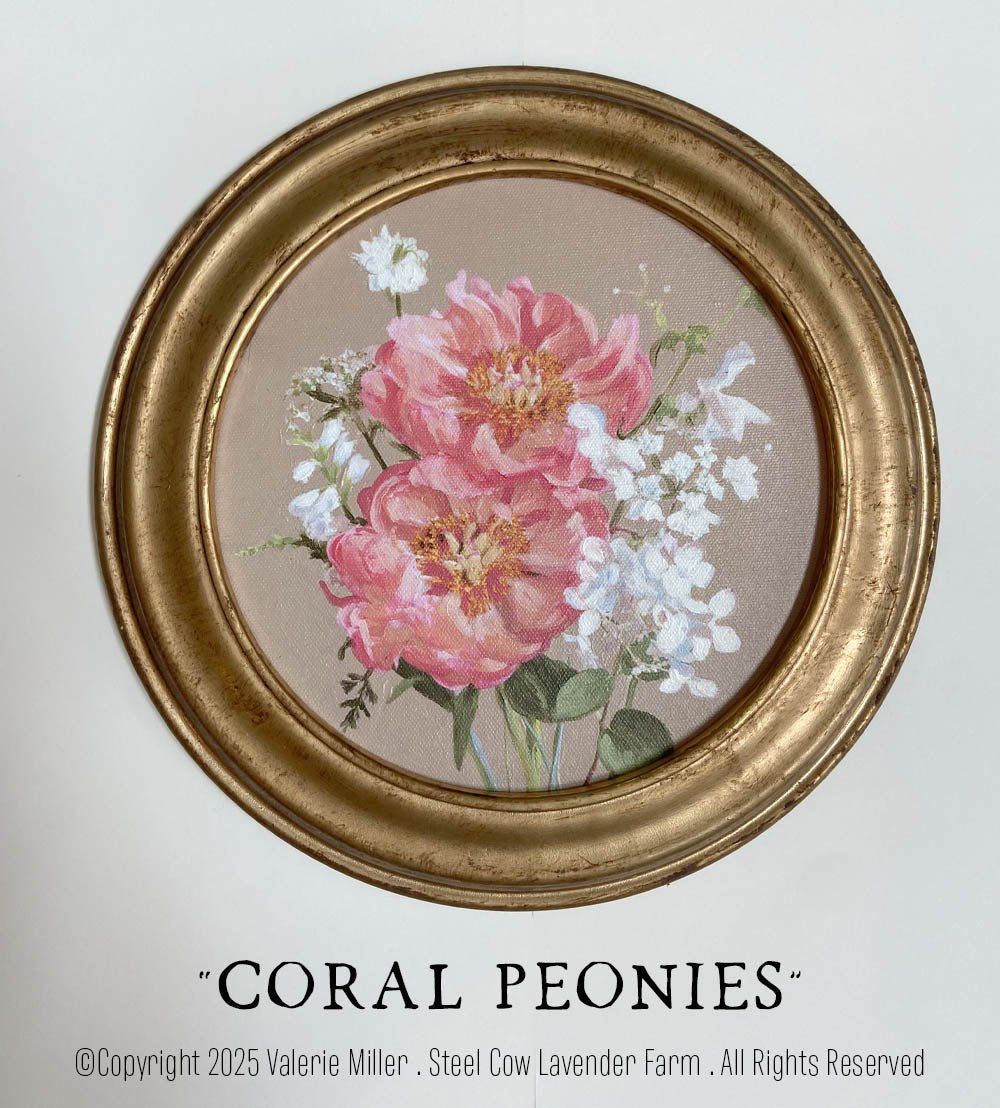 Coral Peonies