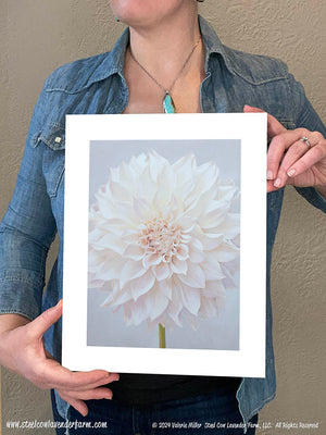 Cafe au Lait Dahlia Art Print