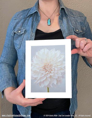 Cafe au Lait Dahlia Art Print