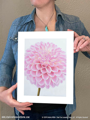 Coralie Dahlia Art Print