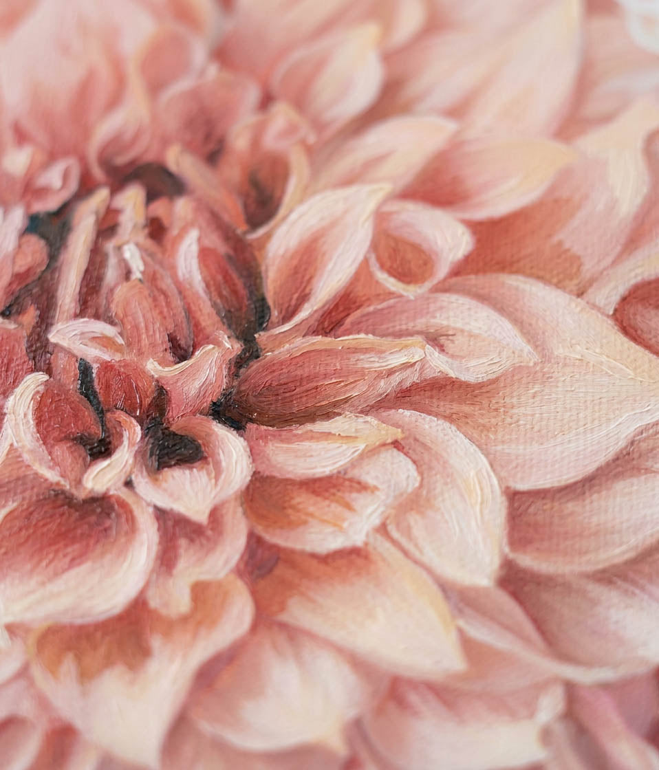 DAHLIA CANVASES - Steel Cow Lavender Farm