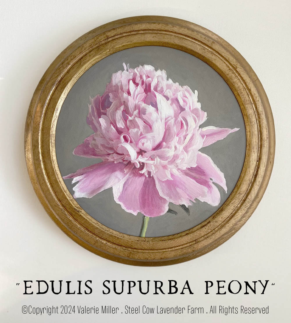 Edulis Supurba Peony Original Painting