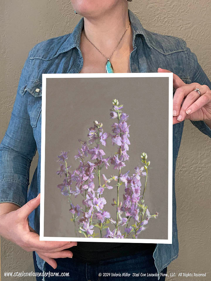 Earl Grey Larkspur (Canvas and Paper Print)