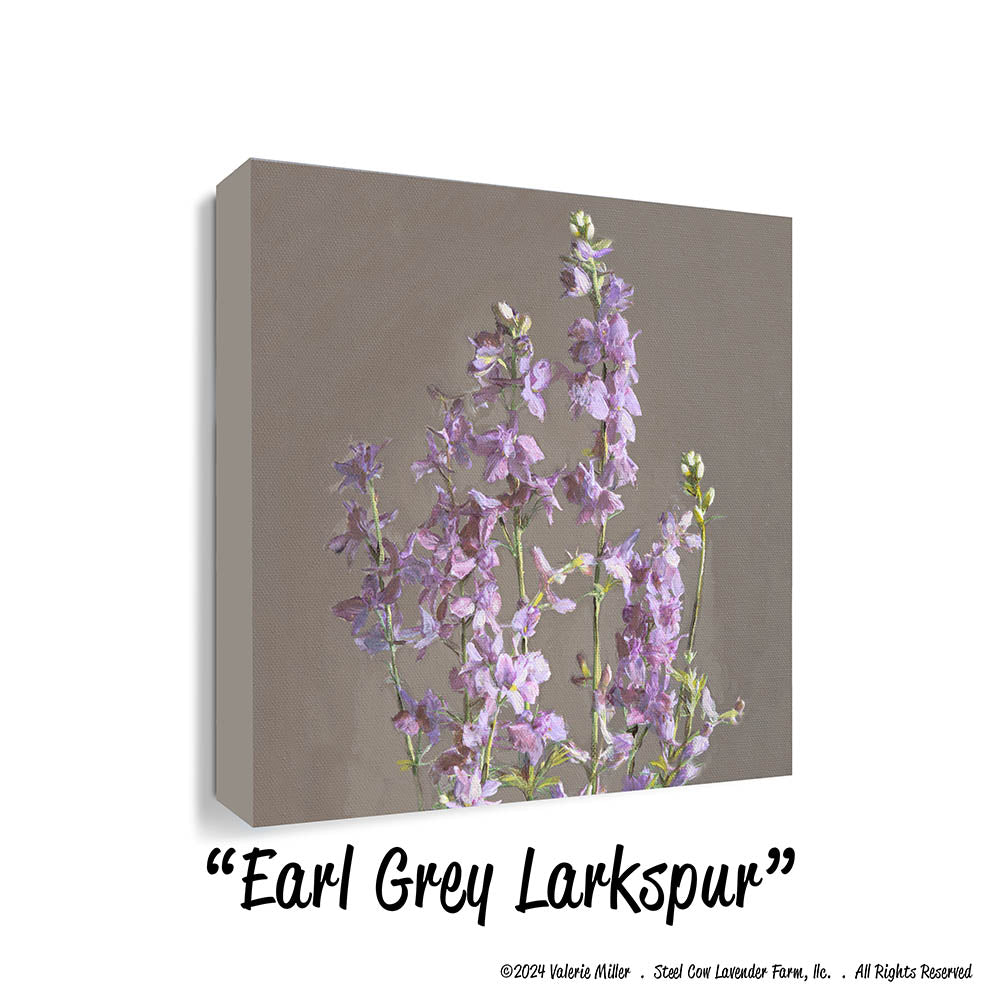 Earl Grey Larkspur (Canvas and Paper Print)