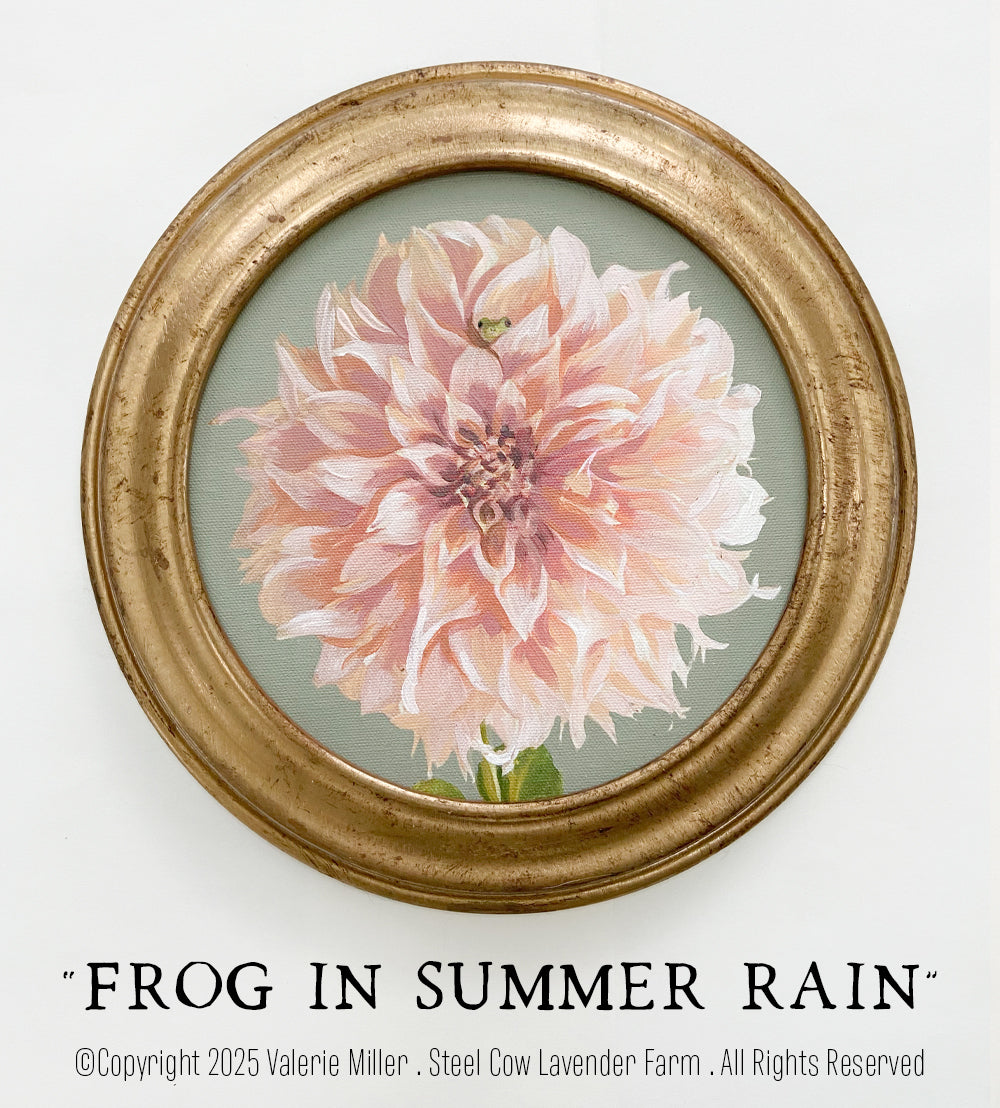 FROG IN SUMMER RAIN DAHLIA